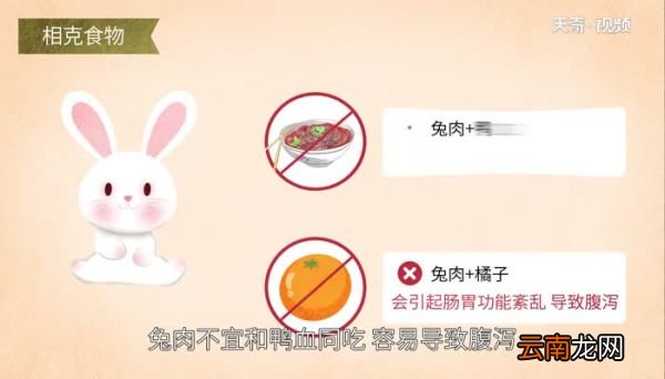 兔肉不能和什么一起吃吃兔肉的禁忌