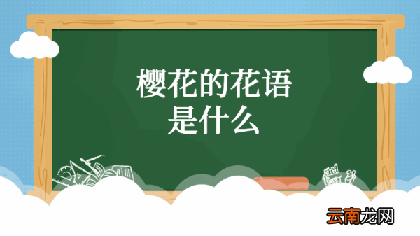 樱花的花语 樱花的花语是什么