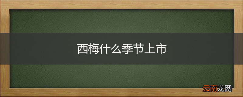 西梅什么季节上市