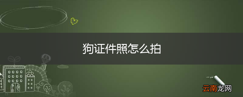 狗证件照怎么拍