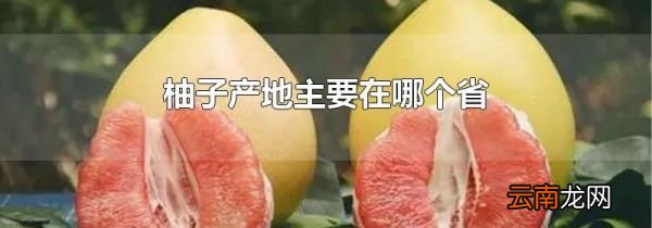 柚子产地主要在哪个省