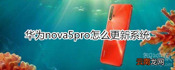 华为nova5pro怎么更新系统