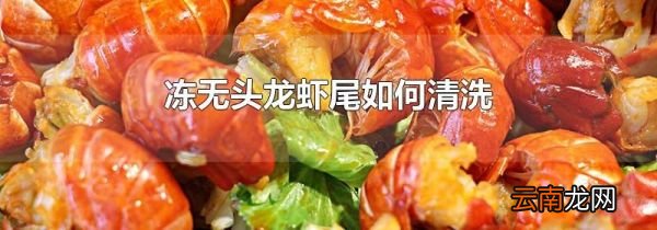 冻无头龙虾尾如何清洗