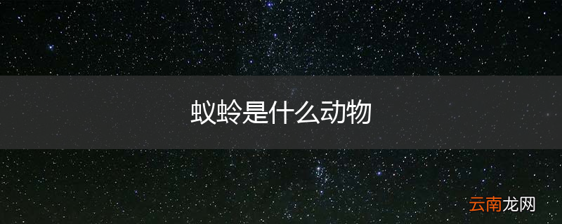 蚁蛉是什么动物