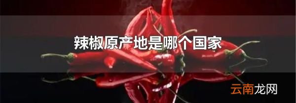 辣椒原产地是哪个国家