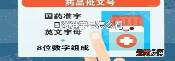 国药准字号怎么看
