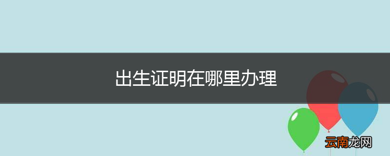 出生证明在哪里办理
