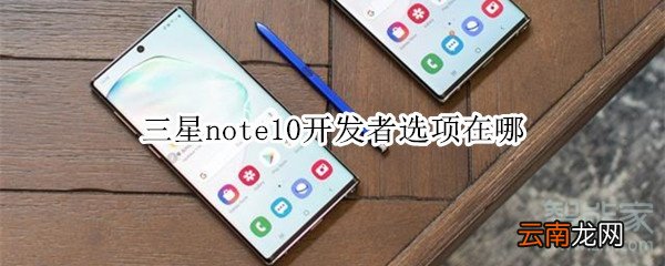 三星note10开发者选项在哪