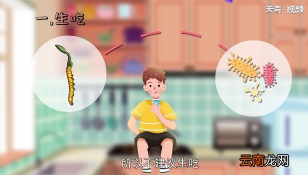 虫草怎么吃怎么吃虫草