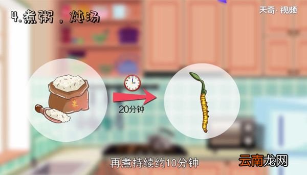 虫草怎么吃怎么吃虫草