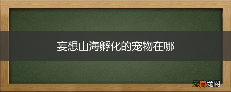 妄想山海孵化的宠物在哪