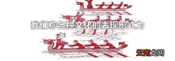 我们称各种文化的表现形式为