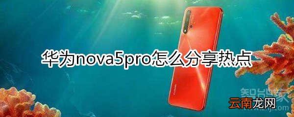 华为nova5pro怎么分享热点