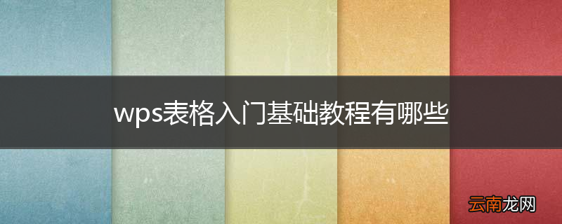 wps表格入门基础教程有哪些