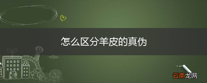怎么区分羊皮的真伪