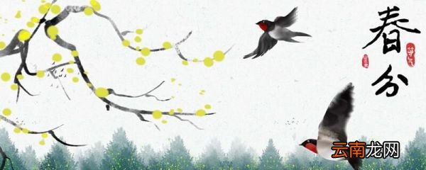春分是几月几日 每年春分的时间