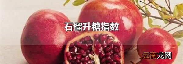 石榴升糖指数