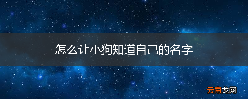 怎么让小狗知道自己的名字