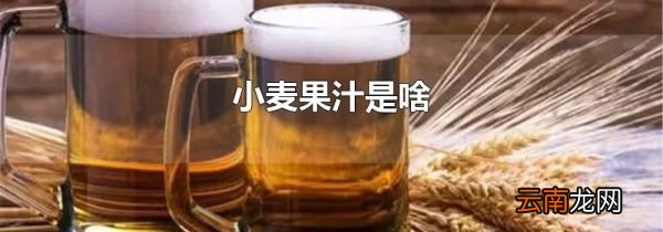 小麦果汁是啥