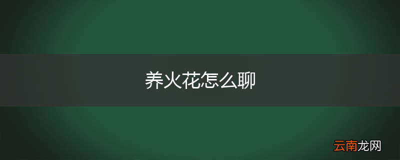 养火花怎么聊