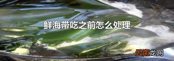 鲜海带吃之前怎么处理