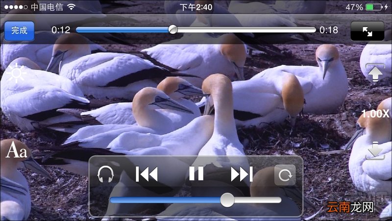iOS版茄子快传怎么看视频