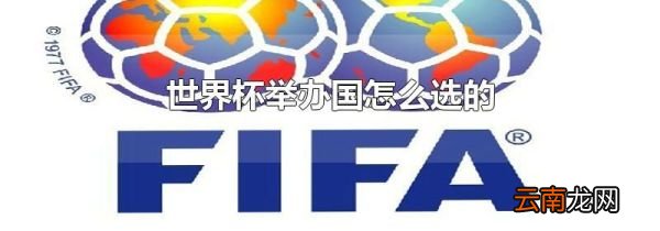 世界杯举办国怎么选的