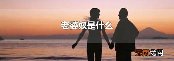 老婆奴是什么