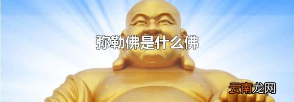 弥勒佛是什么佛