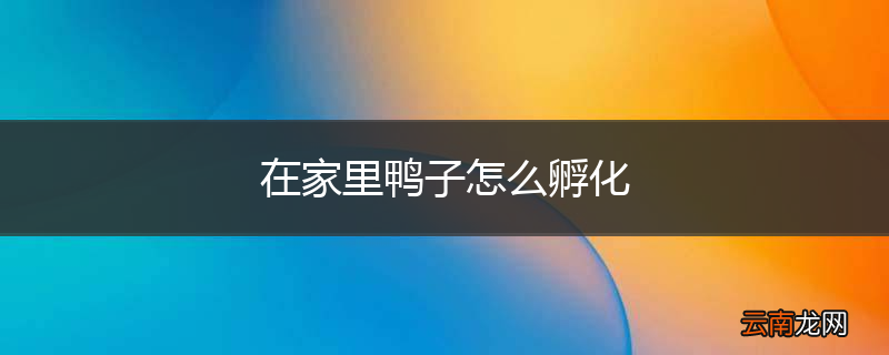 在家里鸭子怎么孵化