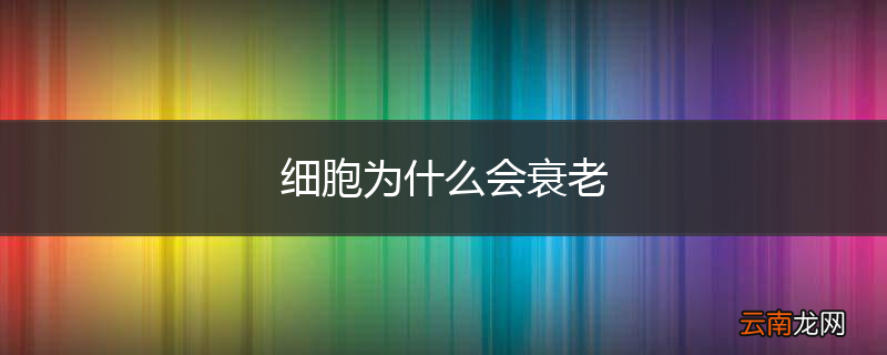 细胞为什么会衰老