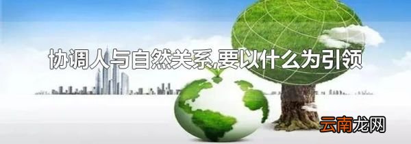 协调人与自然关系,要以什么为引领