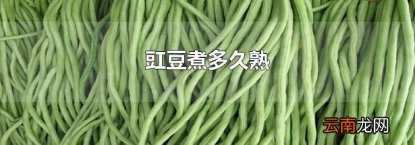 豇豆煮多久熟