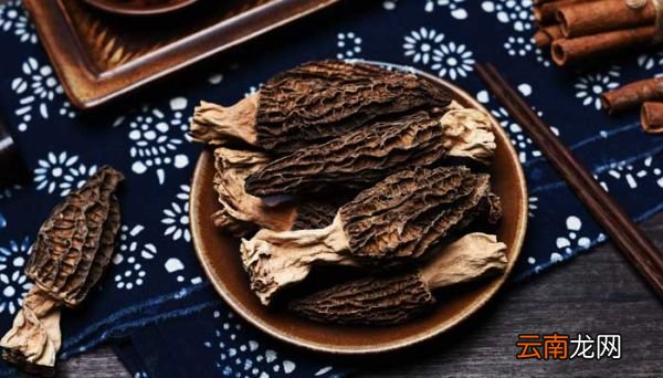 羊肚菌如何存放或是保存 羊肚菌怎么存放
