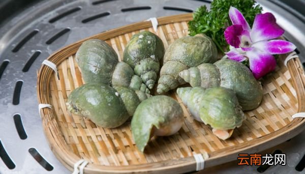 海螺煮多长时间煮熟 海螺一般煮多长时间煮熟
