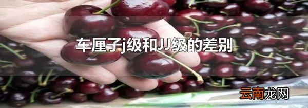 车厘子j级和JJ级的差别