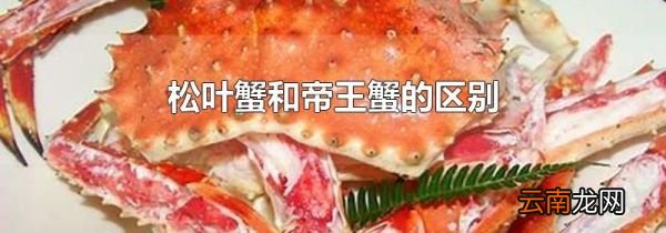 松叶蟹和帝王蟹的区别