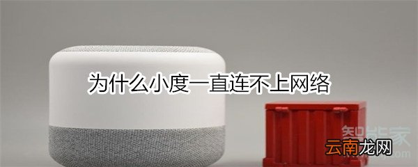 为什么小度一直连不上网络