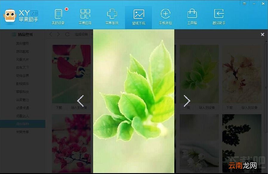 XY苹果助手如何导入壁纸