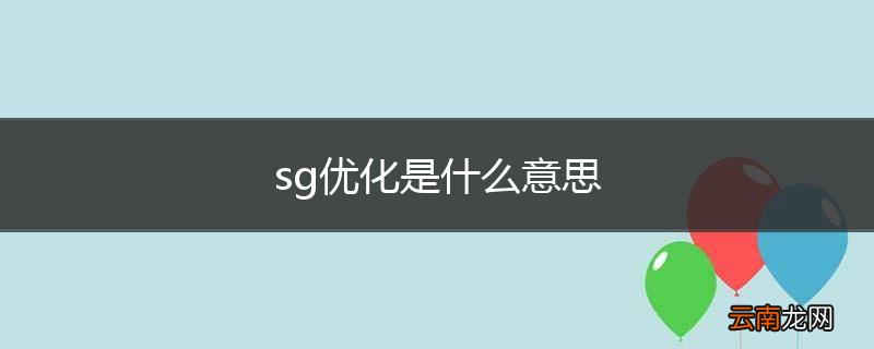 sg优化是什么意思