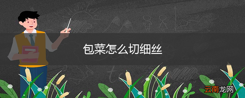 包菜怎么切细丝
