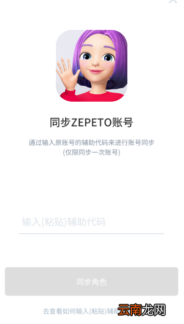 崽崽中使用辅助代码具体操作步骤