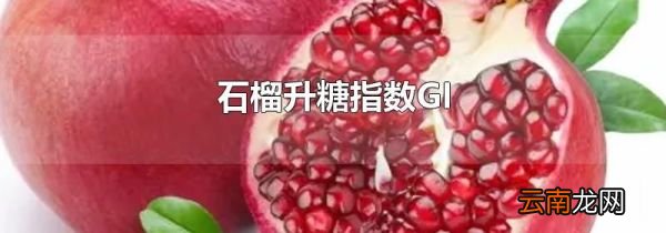 石榴升糖指数GI