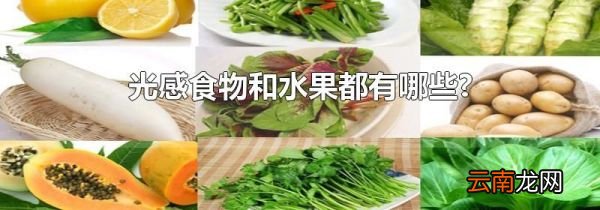 光感食物和水果都有哪些?