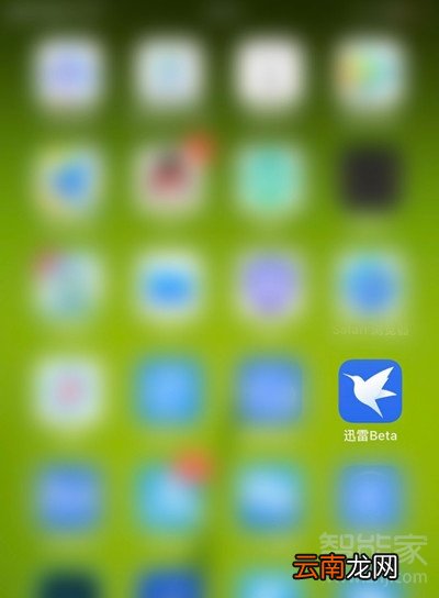 ios版迅雷如何安装