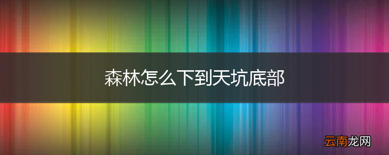 森林怎么下到天坑底部