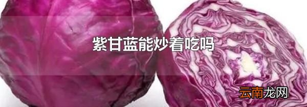 紫甘蓝能炒着吃吗