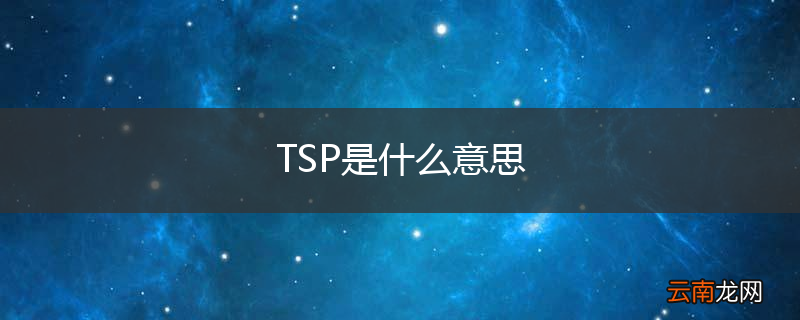 TSP是什么意思