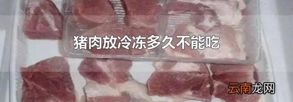 猪肉放冷冻多久不能吃