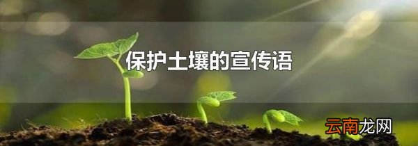 保护土壤的宣传语